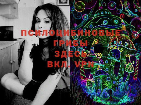 2c-b Новокубанск