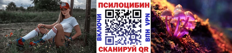 OMG tor Отрадный Галлюциногенные грибы Psilocybine cubensis как найти